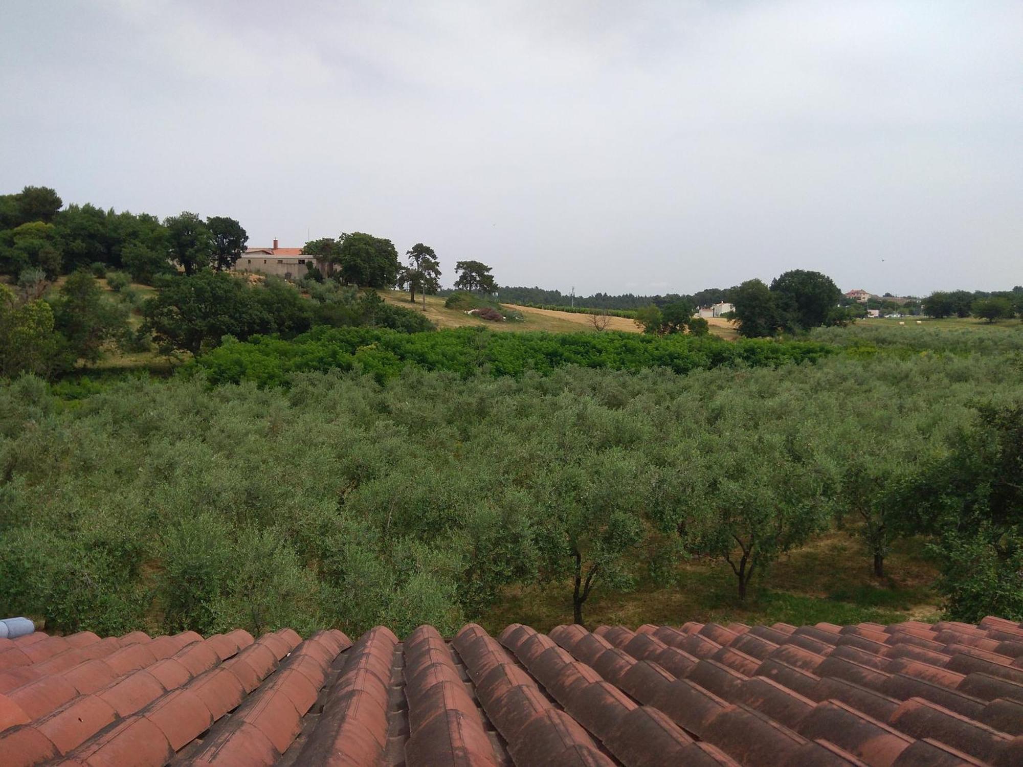 Apartament Nebo *