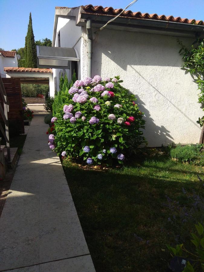 Nebo Apartment Porec