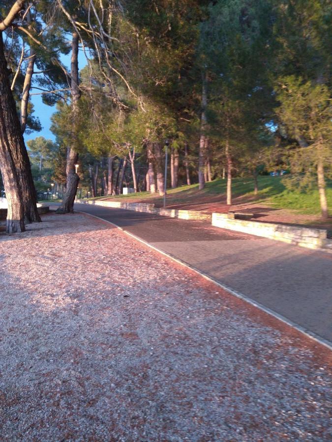 Nebo Apartment Porec